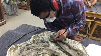 رئيس جامعة بنها يهنئ الباحث بلال سالم لمشاركته في اكتشاف عالمي بمجال الحفريات الفقارية