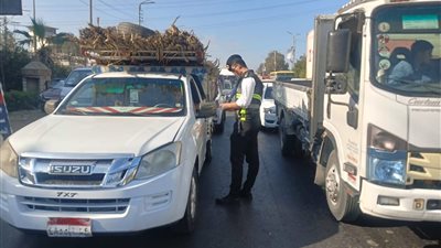 محافظ الدقهلية يتابع حملة للكشف عن تعاطي المخدرات والمخالفات المرورية بطريق أجا - ميت غمر 