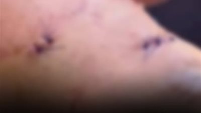 ضبط المتهمين بالتعدي على طالب ثانوية أمام مدرسته في الدقهلية