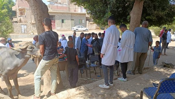 القافلة البيطرية