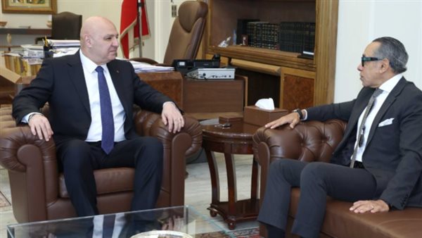 السفير المصري في