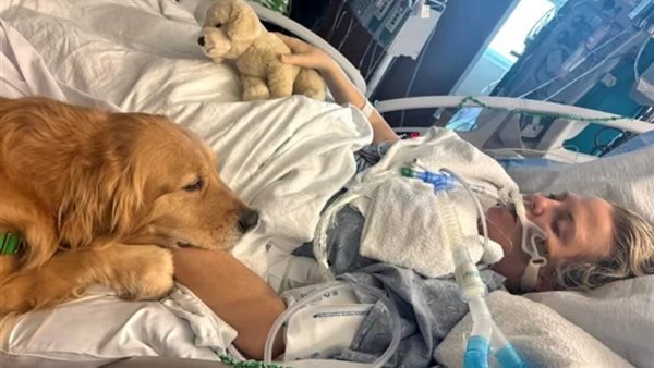 السيدة مع كلبها