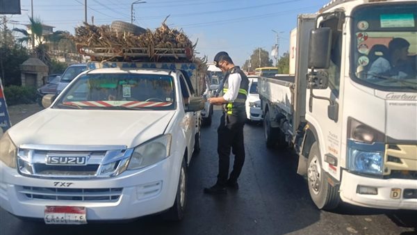 محافظ الدقهلية يتابع