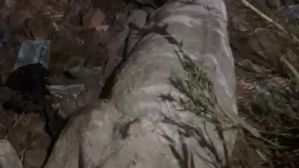 حمير مذبوحة