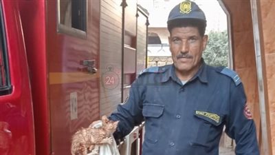 الحماية المدنية بالغربية تُنقذ قطة عالقة داخل ماسورة صرف صحي في قرية بمركز سمنود