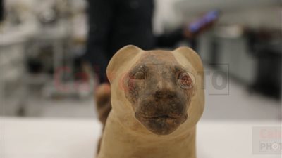 أنثى الأسد تعود من جديد.. تماثيل المعبودة سخمت تستعد لخطف الأنظار في المتحف المصري الكبير | صور