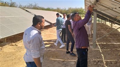 مديرية العمل بالوادي الجديد: دورات تدريبية للشباب لتأهيلهم لسوق العمل