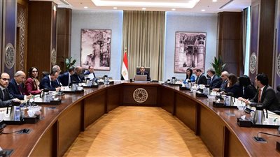 مدبولي: توجيهات من الرئيس بتيسير الإجراءات لسرعة إدخال مشروعات الطاقة المتجددة على الشبكة القومية للكهرباء