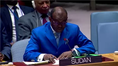 مندوب السودان بالأمم المتحدة: الدعم السريع ترتكب إبادة جماعية في الفاشر وتحول دارفور إلى تورا بورا جديدة