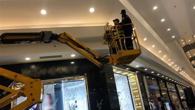 الأجهزة الأمنية بالإسكندرية تتمكن من إنقاذ قطة محتجزة أعلى واجهة أحد المحال التجارية