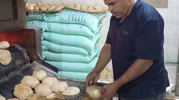 جانب من الحملة 