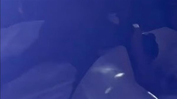 سقوط هادي الباجوري