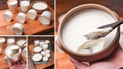 يدعم صحة الأمعاء.. فوائد الزبادي للجسم 