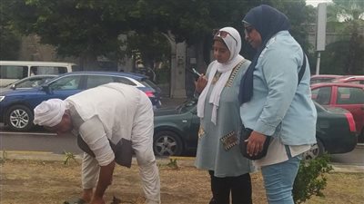 رئيسة حي وسط بالإسكندرية تتابع ميدانيًا تفعيل المرحلة الثالثة من مبادرة 100 مليون شجرة| صور
