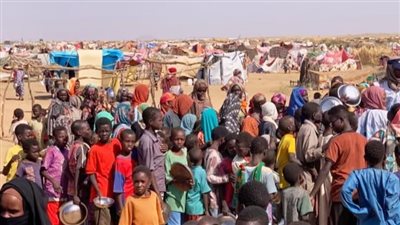 مقررة الأمم المتحدة تحذر من استغلال الأطفال والنساء في السودان