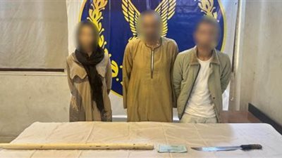 طلبوا فدية.. القبض على سيدة وشخصين لاتهامهم باحتجاز طالب في القاهرة 