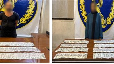 القبض على عاملة نظافة وزوجها لسرقتهما عملات أجنبية من خزنة شركة بالسلام