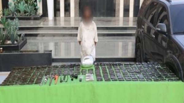 القبض على عناصر إجرامية