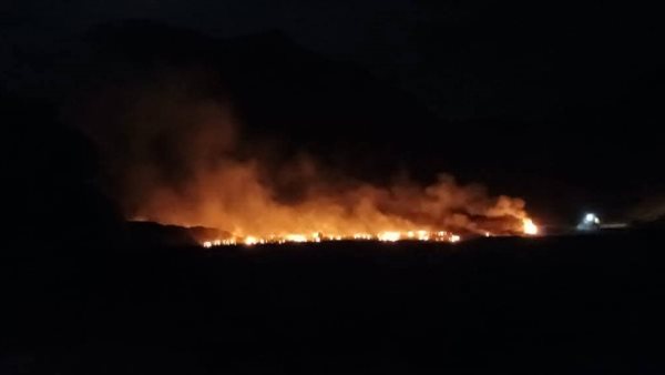 حرق القمامة يلوث