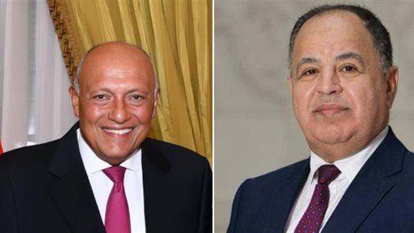 سامح شكري ومحمد معيط