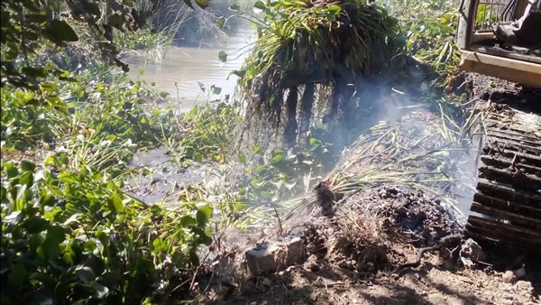 تطهير الترع بأسيوط