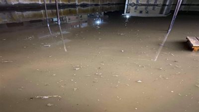 بعد أن غمرتها الأمطار.. توقف التصويت في لجنتي انتخابات نواب بالغربية (صور)