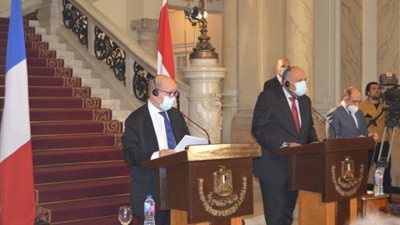 ردًّا على سؤال صحفي فرنسي.. وزير الخارجية: ليس هناك احتجاز تعسفي ومصر دولة قانون