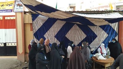 استبدال رئيس لجنة في انتخابات مجلس النواب بكفر الشيخ لوفاة والدته