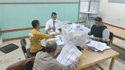 بدء فرز أصوات الناخبين في انتخابات مجلس النواب بالشرقية (صور)