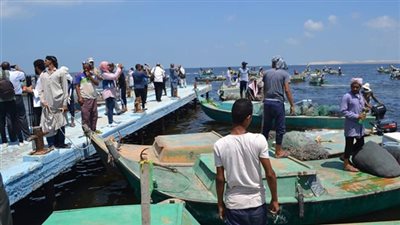 رئيس الوزراء يستعرض المخطط العام لتطوير بحيرة البردويل