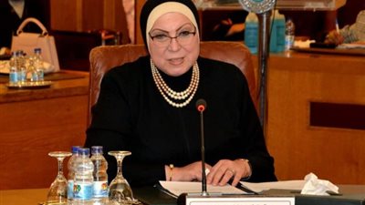 وزيرة الصناعة تدعو أعضاء القمة العربية الأوروبية للاطلاع على الفرص الاستثمارية في مصر
