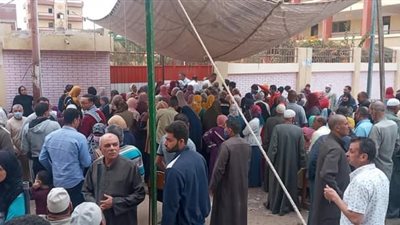 رفض جميع الطعون المقدمة على نتيجة فرز أصوات دوائر محافظة كفر الشيخ الـ4 (خاص)