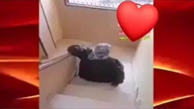 حجز شاب سخر من والدته القعيدة وأجبرها على الزحف في الشرقية