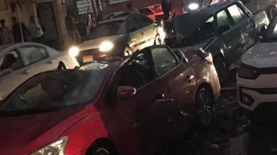 سقوط نخلة أمام كلية طب المنصورة وشلل مروري تام بسبب الطقس السيئ (صورة)