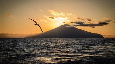 إنشاء محمية بحرية حجمها 3 أضعاف مساحة بريطانيا (صور)