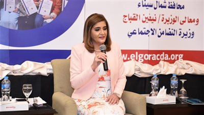 الزينى: التنمية المستدامة تلبي احتياجات الحاضر دون الإضرار بالأجيال القادمة