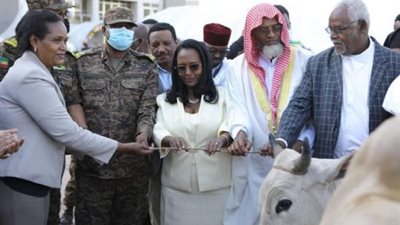 منها ثيران وأغنام.. إثيوبيا: جمع أكثر من 26 مليون دولار تبرعات من المواطنين للجيش (صور)