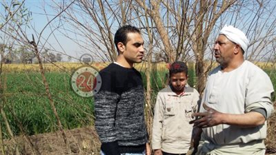 الإهمال وانعدام الخدمات يضرب قرية الريرمون بمركز ملوي في المنيا.. والأهالي: نحن مهمشون من قِبل المسئولين (صور)