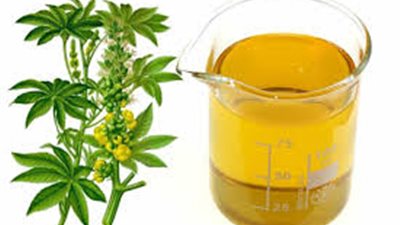 فوائد زيت الخروع للبشرة والشعر والرموش