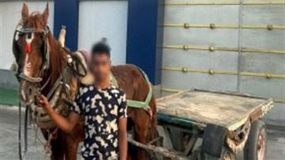 ضبط قائد عربة كارو صدم أجنبية ولاذ بالهرب في العريش