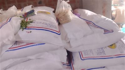 ضبط مصنع حلويات غير مرخص ومخالفات تموينية متنوعة في حملة مكبرة ببني سويف 