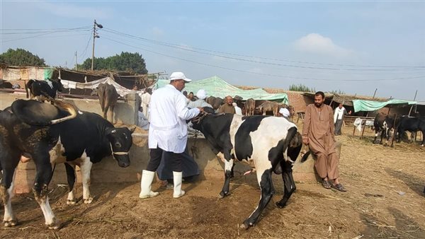  الحملة القومية لتحصين