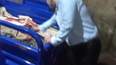 بيطري القليوبية يضبط لحومًا مذبوحة خارج المجازر| صور