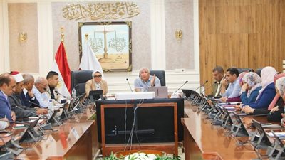 محافظ الوادي الجديد يبحث استعدادات المحافظة لإجراء انتخابات مجلس النواب