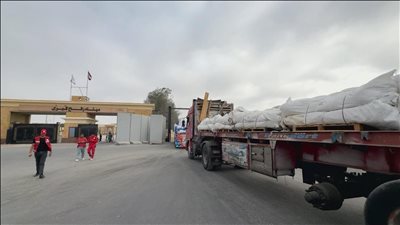 زاد العزة.. الهلال الأحمر المصري يرسل 9 آلاف طن مساعدات إنسانية إلى غزة