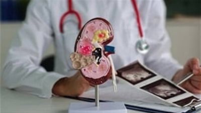 واقعة صادمة بالهند.. زوج يحاول بيع كلية زوجته بعد إيهامها بالمرض