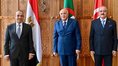 البيان الختامي لاجتماع آلية دول الجوار الثلاثية: لا حل في ليبيا إلا بالحوار والمصالحة الوطنية