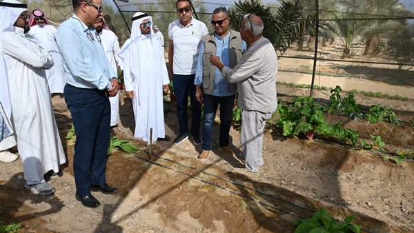 محافظ جنوب سيناء