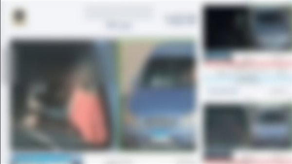 جانب من المنشور المتداول