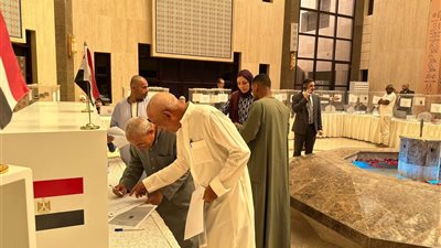 انتخابات النواب.. القنصل المصري بالرياض: السفارة تسجل أعلى نسب تصويت للمصريين بالخارج حتى الآن